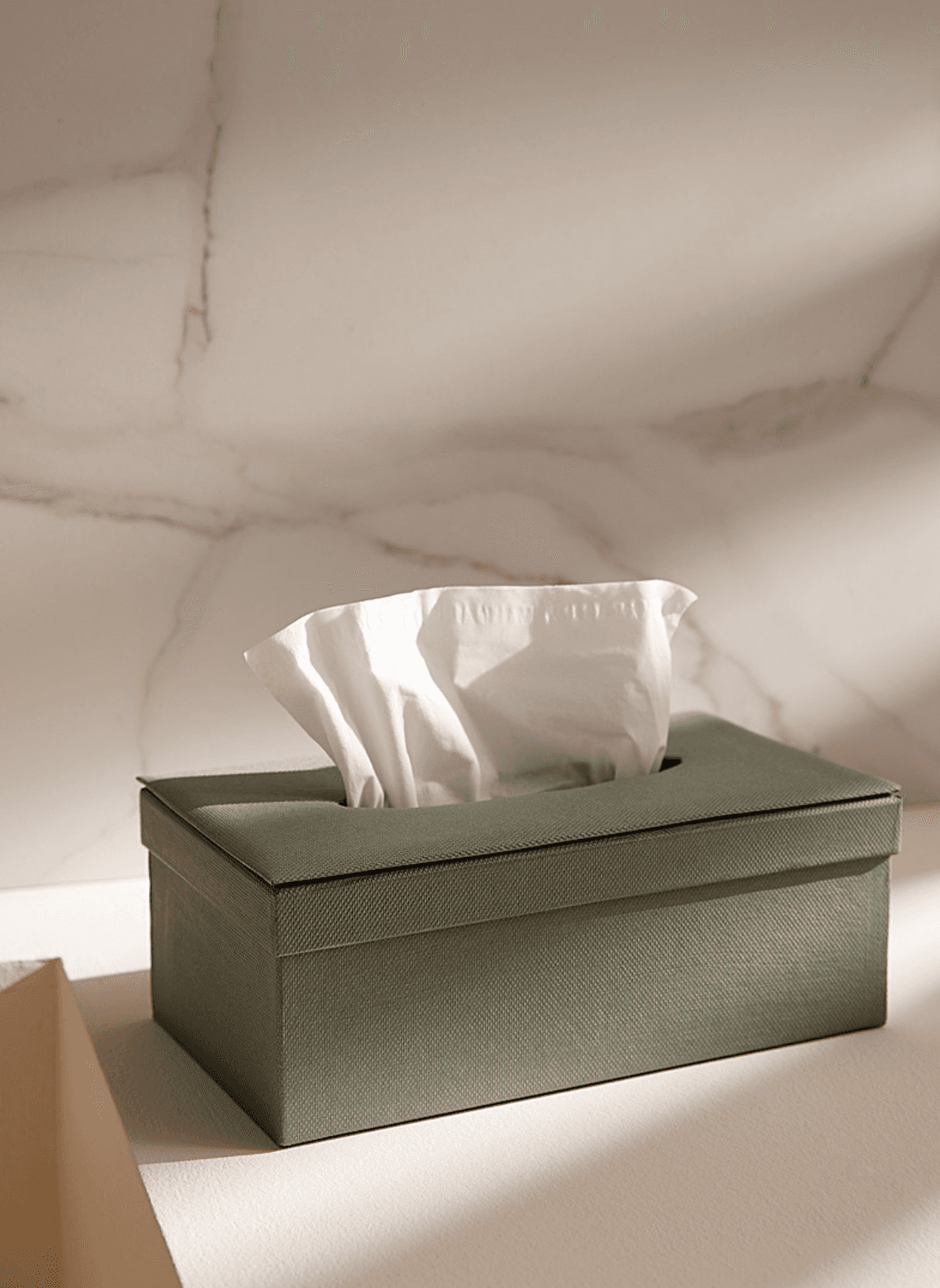 Sage textured tissue box